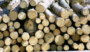 Les bo strateška surovina, ki je bo primanjkovalo