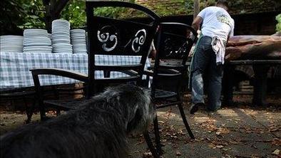 Top gostilne 2011 – Najlepši vrtovi, dvorišča in terase