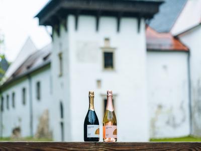 Darilo, ki nikoli ne razočara: kako izbrati pravo vino za decembrske praznike