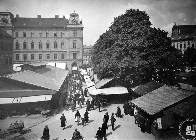 Do leta 1940 je prodaja na ljubljanski tržnici potekala le na prostem, svojo današnjo podobo je ta namreč dobila po drugi svetovni vojni. (foto: neznan, iz fonda časopisa Slovenec, iz obdobja med obema svetovnima vojnama. Hrani: MNZS) | Foto: 