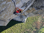 Alex Honnold