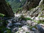 Logarska dolina Rinka Okrešelj
