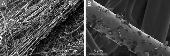 A) Slika polipropilenskih vlaken v filtru FFP3, narejena z vrstičnim elektronskim mikroskopom. B) Slika polipropilenskih vlaken z ujetimi prašnimi delci po testiranju filtracijske učinkovitosti. | Foto: Institut Jožef Stefan