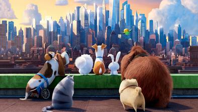 Skrivno življenje hišnih ljubljenčkov (The Secret Life of Pets)