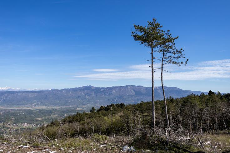 Pogled proti Čavnu oziroma Trnovskemu gozdu in navzdol na Vipavsko dolino. | Foto: Matej Podgoršek