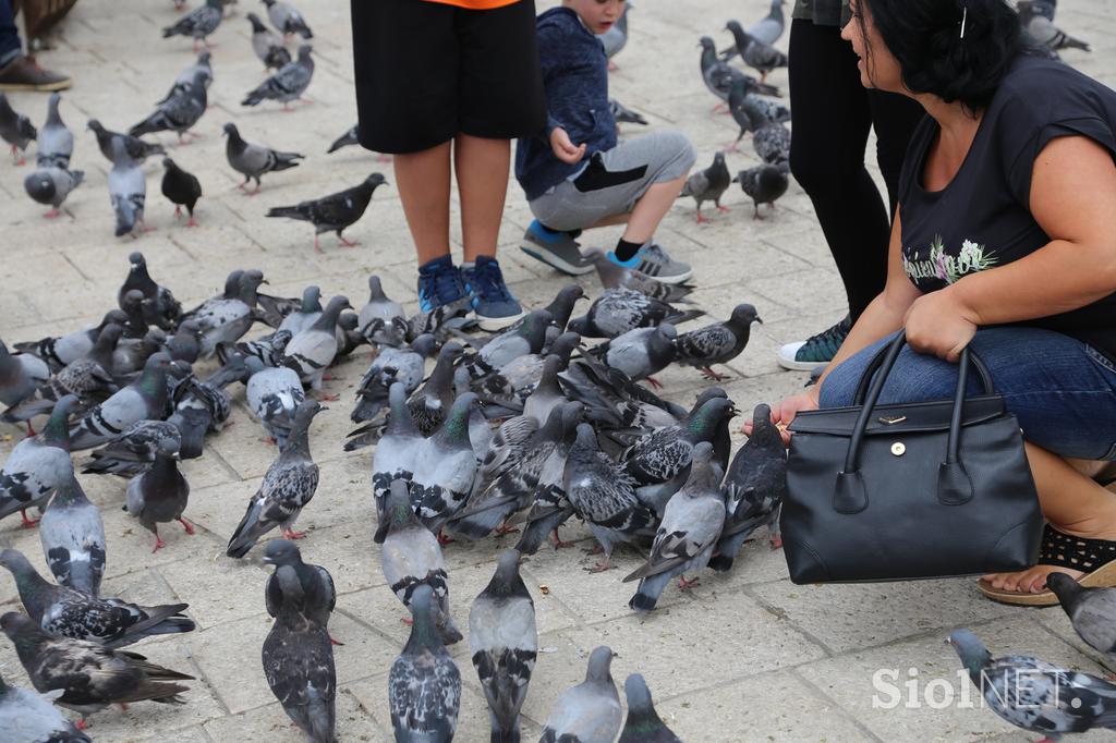 sarajevo