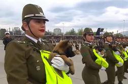 Ukradli so vso pozornost #video