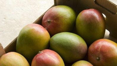 Mango, rumeno indijsko jabolko