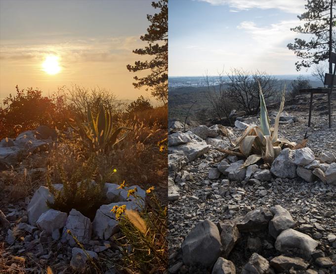 Razgledna točka Špik pred požarom (levo) in po njem (desno)  | Foto: Bojan Puhek