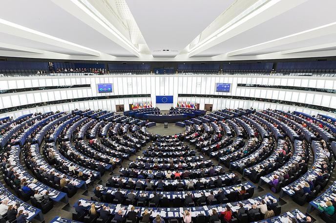 Nsi, volitve v evropski parlament 2024 | Foto arhiv naročnika