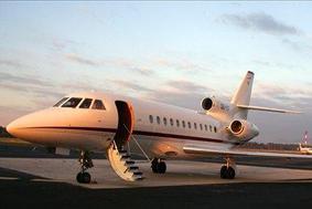 Tri ustrezne ponudbe za najem falcona