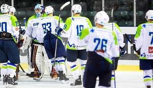 Slovenski hokejisti zasedli Sportalov prestol