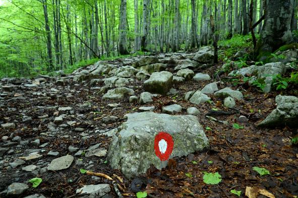Glasujte za naj planinsko pot, s posebnim razlogom