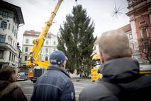 Novoletna smreka v Ljubljani Prešernov trg