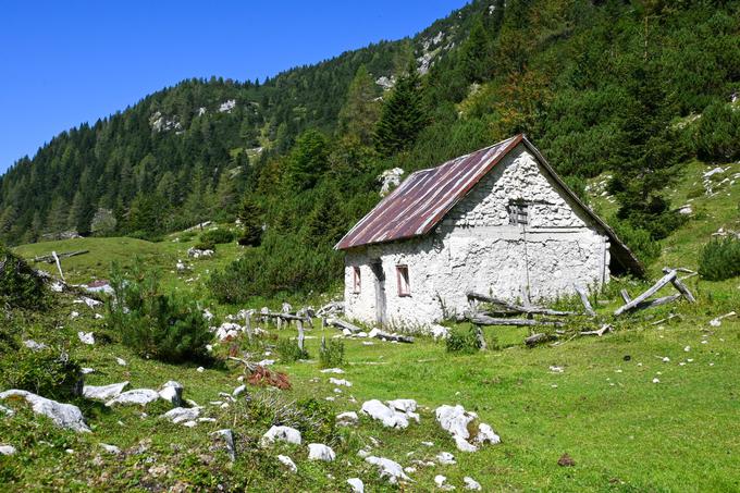 Planina Dolga njiva, a ne tista po Košuti, ampak tu pod severozahodnimi pobočji Zvoha. | Foto: Matej Podgoršek