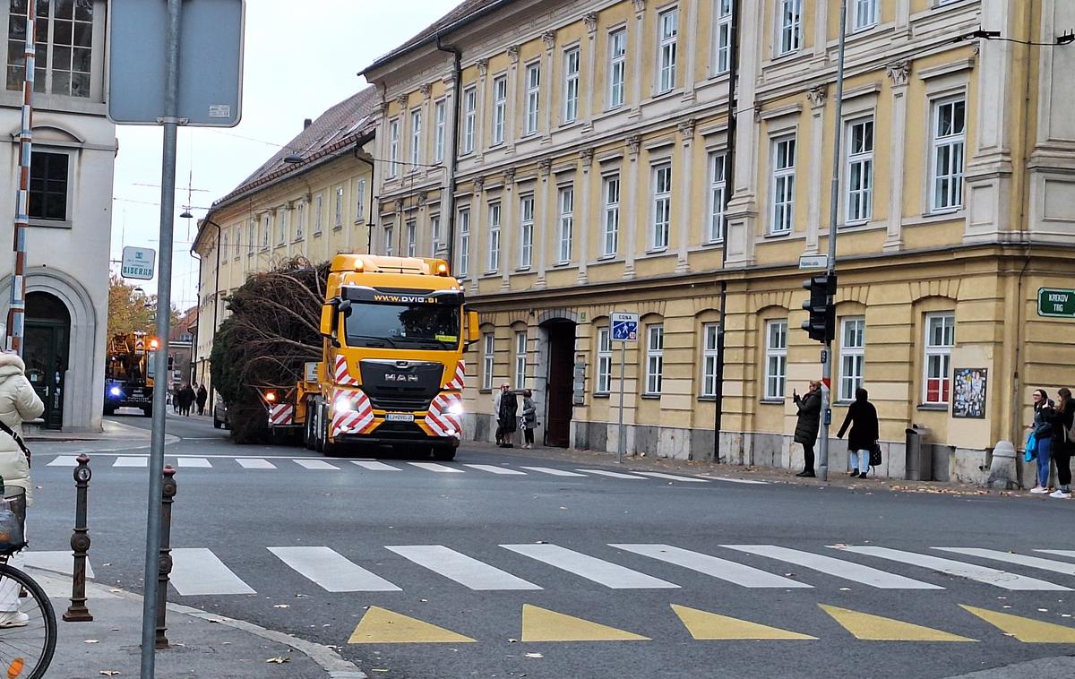 prevoz smreke v Ljubljani | Foto Nataša Repovž​​​​​​​