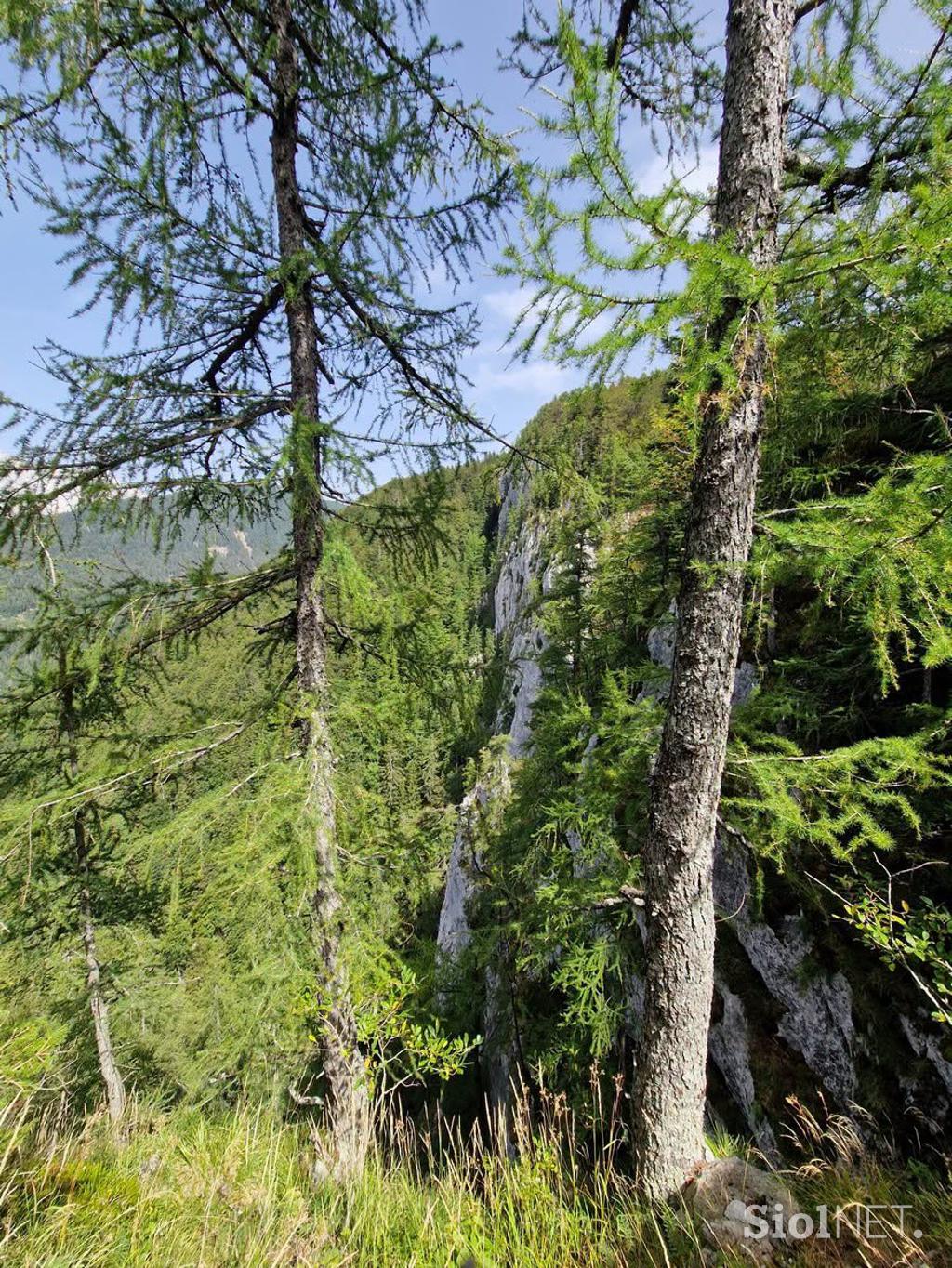 Iskalna akcija, Velika planina