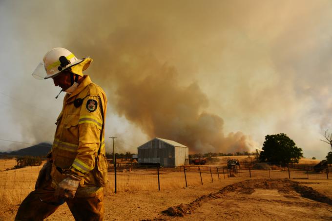 Avstralija, požari | Foto: Getty Images