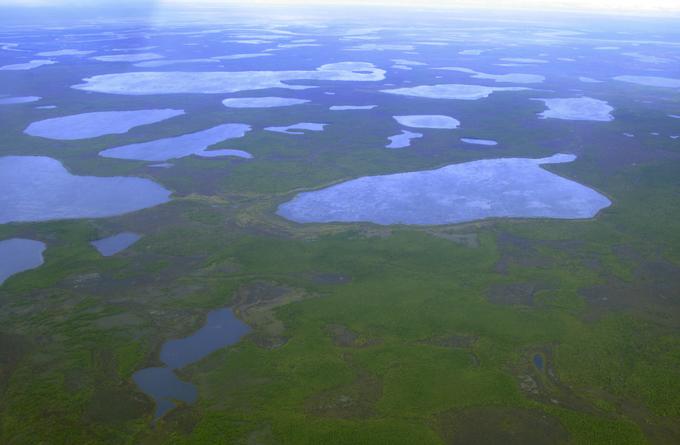 Pogled iz zraka prikazuje termokarstna jezera zunaj mesta Čerski v severovzhodni Sibiriji leta 2007. Že tisočletja so v plasti arktične tundre ujeti živalski odpadki in druge organske snovi. Odpadki, ki so bili ujeti v ledu, zdaj zaradi podnebnih sprememb spet prihajajo na površje. | Foto: Reuters