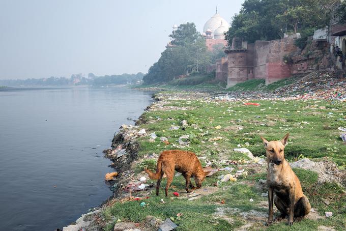 V Indiji je obiskal palačo Tadž Mahal, ki je vidna v ozadju. | Foto: Tadej Bolta