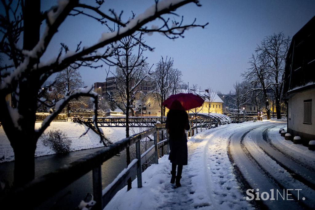 sneg v Ljubljani