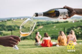 Pristne vinske zgodbe med briškimi griči: vrača se DOK Brda 2025!