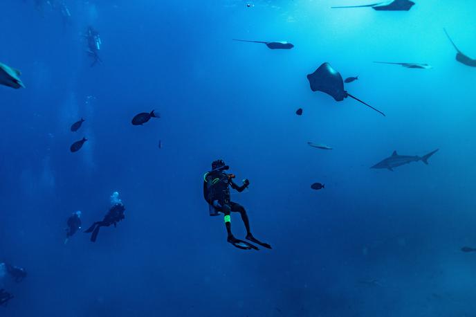 Potapljanje, Maldivi | Potapljaške nesreče na Maldivih so sicer zelo redke, čeprav so v zadnjih letih zabeležili nekaj smrtnih žrtev. | Foto Shutterstock