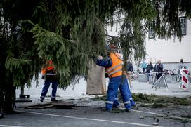 Novoletna smreka v Ljubljani Prešernov trg