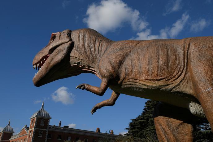 dinozaver | Foto Reuters