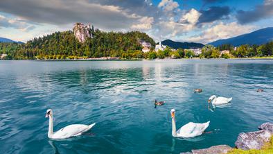 Odlična novica: kolesarska povezava med Bledom in Bohinjsko Bistrico že do leta 2023?
