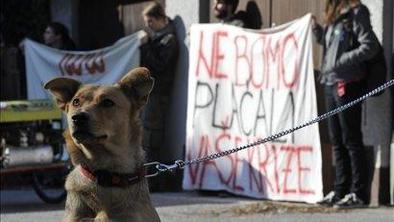 Nevidni delavci: Lotevate se posledic, ne vzrokov