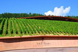 Antinori