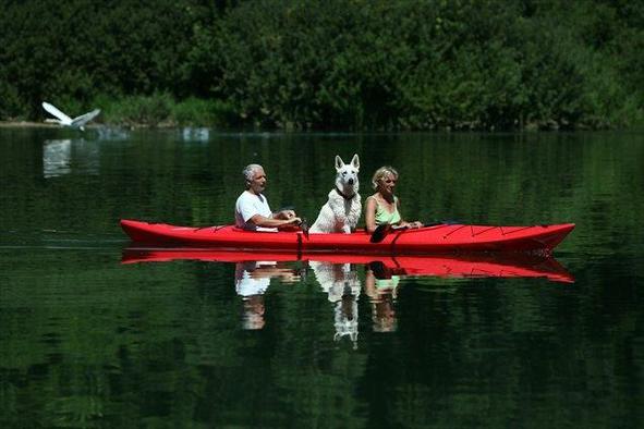 Lani v Sloveniji sedem odstotkov več turistov kot leto prej