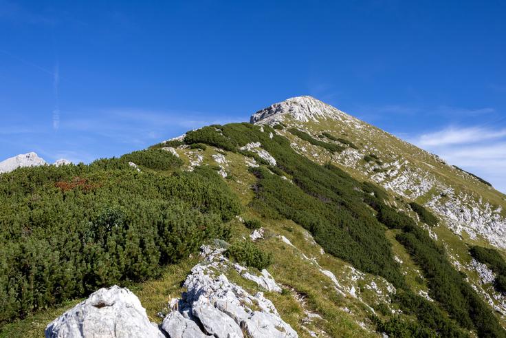 Zadnji del vzpona gre po nemarkiranem grebenu. | Foto: Matej Podgoršek