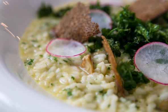 Recept: rižota z radičem, rdečim vinom in pinjolami