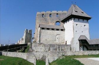 V boj za Veronikino nagrado 60 pesniških zbirk