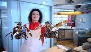S Harbokom ustrelili kozla