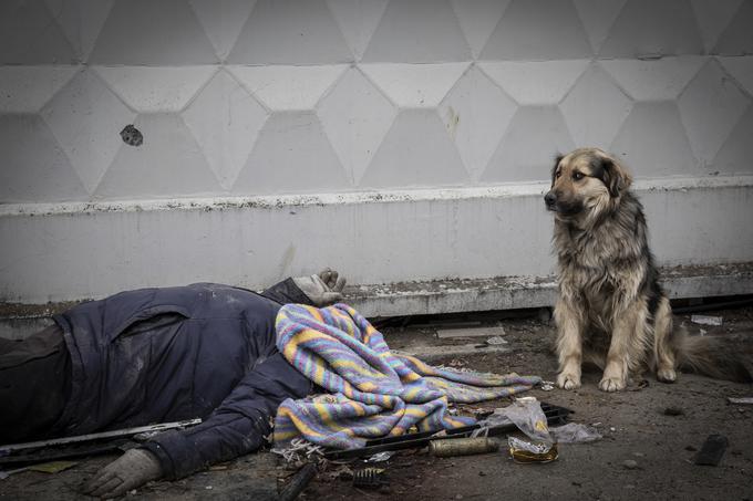 Ukrajinski kraj Buča | Foto: Guliverimage/AP