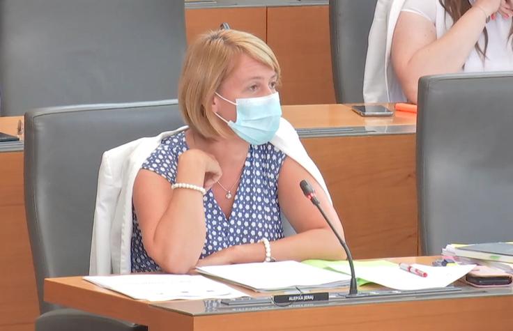 Alenka Jeraj parlament | Foto: RTV SLO