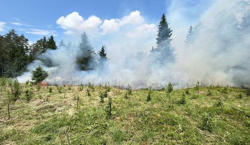 Požar med Smlednikom in Trbojami zajel okoli pet hektarjev gozda