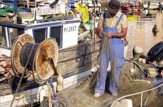 Vlada: Slovenski ribiči lovijo enako kot pred 1. januarjem