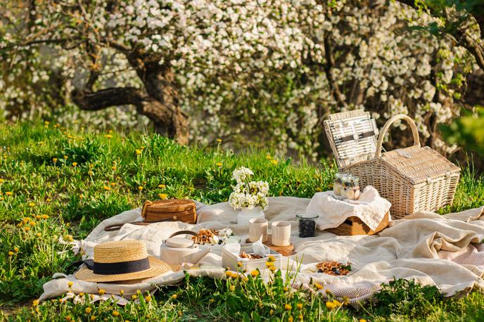 Piknik | Foto Shutterstock