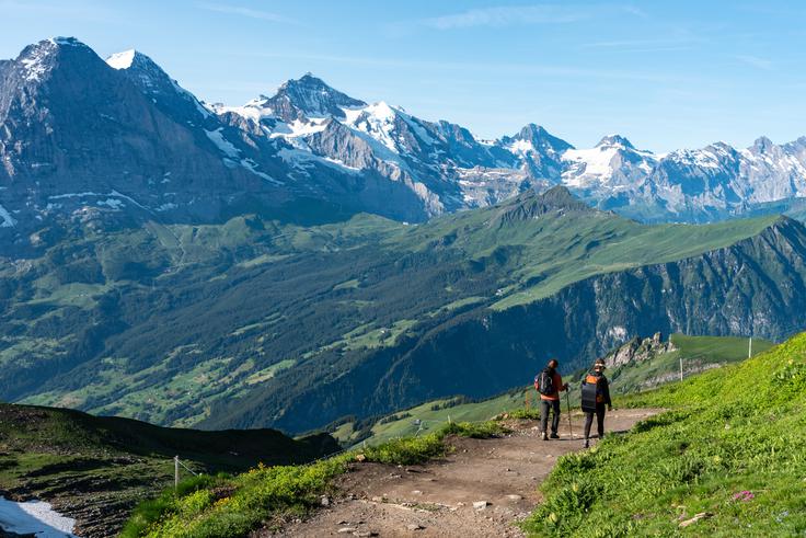 alpsko poletje, gore, počitnice | Foto: Shutterstock