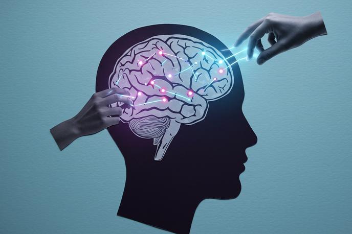 zema | Foto arhiv ponudnika