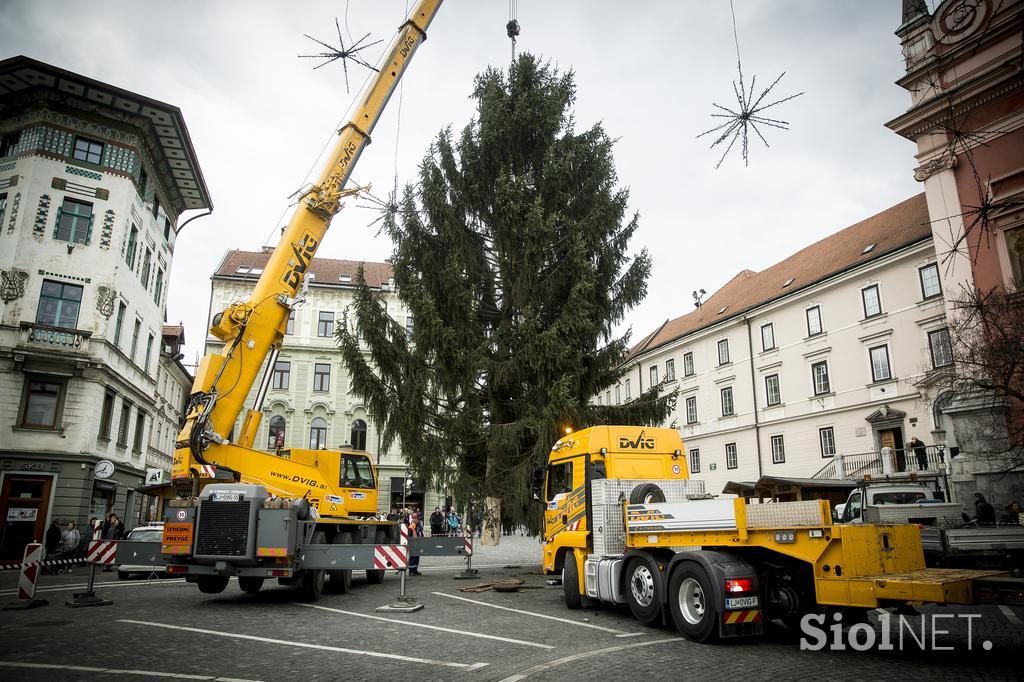 Novoletna smreka v Ljubljani Prešernov trg