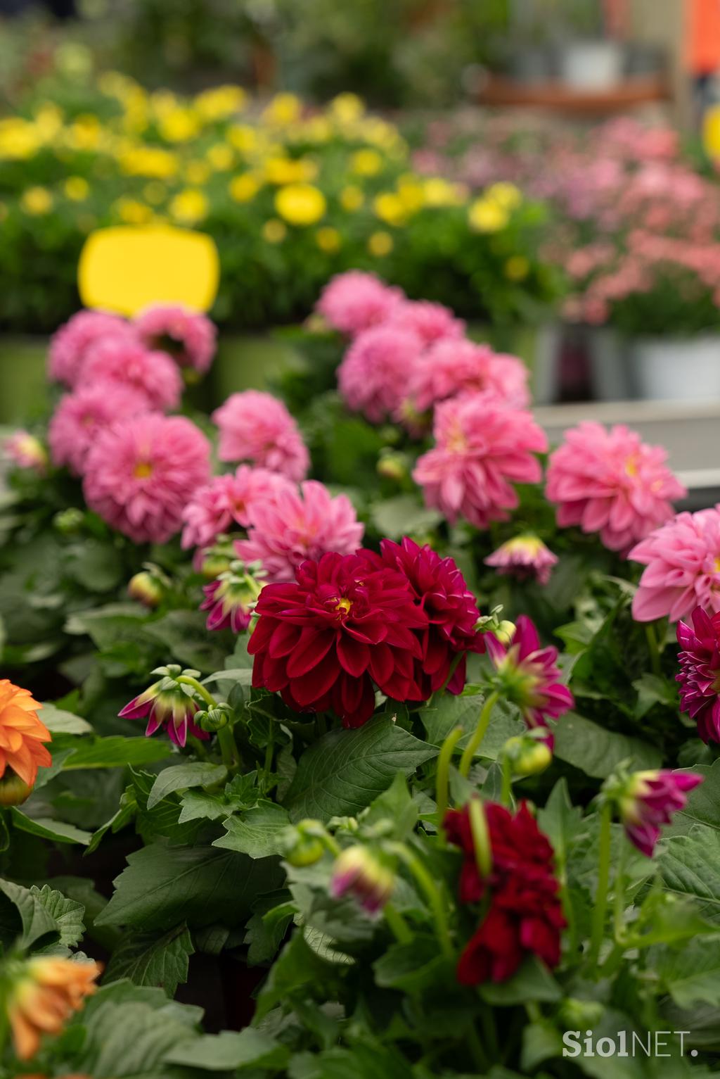 Eurogarden