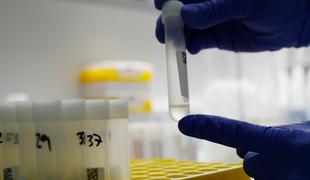 WHO objavil ugotovitve s Kitajske: kako se je virus prenesel na ljudi?