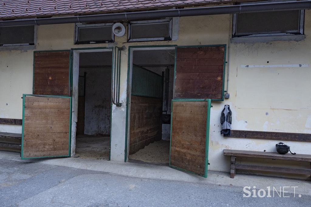 Pedagoško raziskovalni center za konjerejo Krumperk