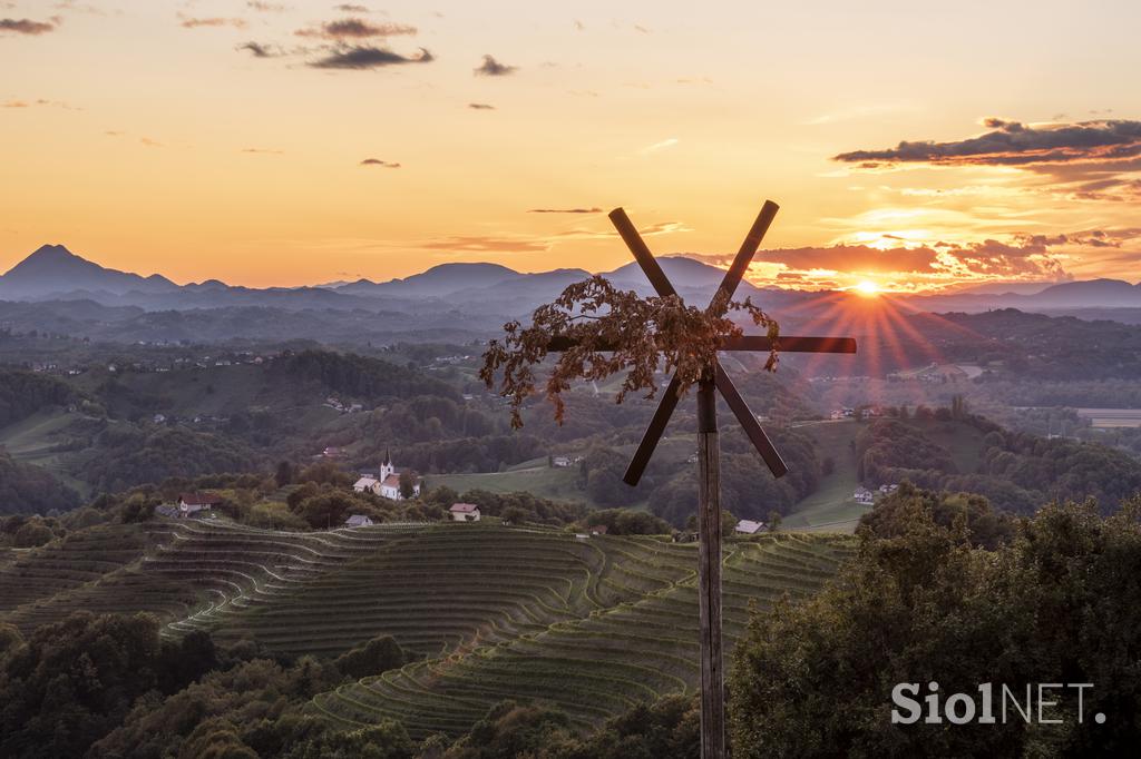 vinorodna štajerska