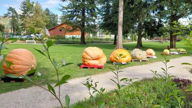 Kaj boste izbrali? Buče velikanke, najboljšo kavo ali čisto pravi "drag race"?